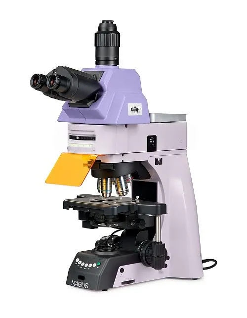immagine di Microscopio a fluorescenza MAGUS Lum 490L,  1