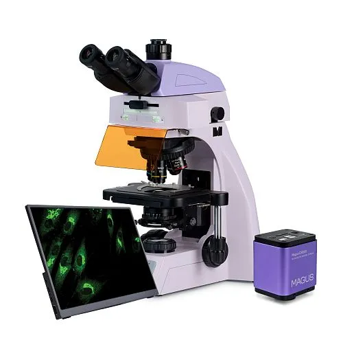 figura di Microscopio digitale a fluorescenza MAGUS Lum D450L LCD,  1