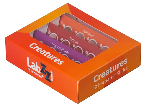 foto di Levenhuk LabZZ C12 Set di vetrini preparati Animali - Articolo in esposizione,  1