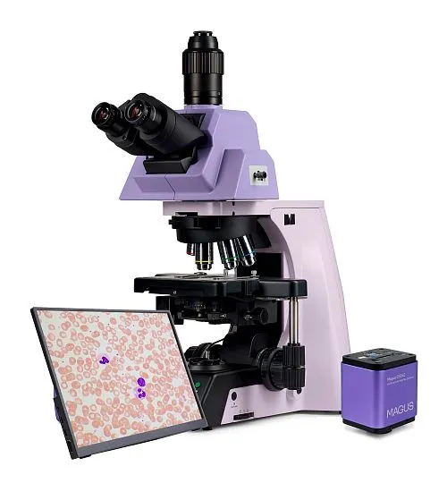 foto di Microscopio biologico digitale MAGUS Bio D290T LCD,  1