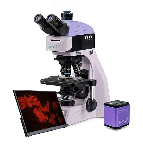 figura di Microscopio digitale a fluorescenza MAGUS Lum D460L LCD,  1
