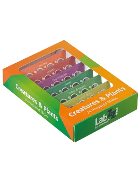 foto di Levenhuk LabZZ CP24 Set di vetrini preparati Piante e Animali