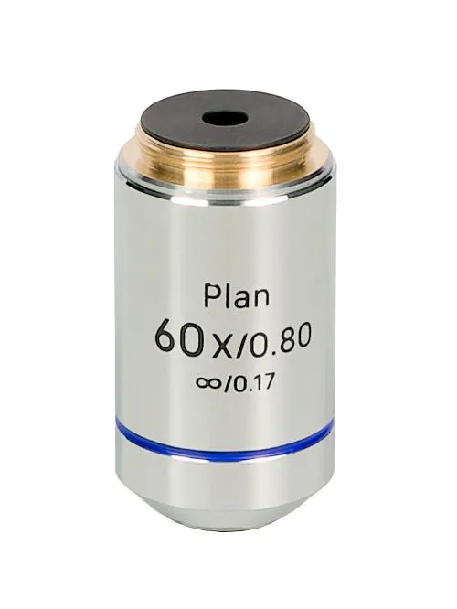 fotografia di Obiettivo MAGUS 60PL Plan 60х/0,80 ∞/0,17