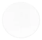 fotografia di Vetrino di calibrazione CSS2 MAGUS per stereomicroscopi (XY0,05)