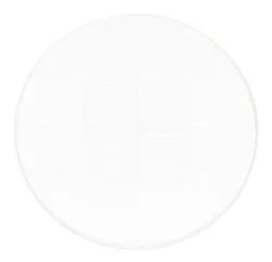 fotografia di Vetrino di calibrazione CSS2 MAGUS per stereomicroscopi (XY0,05)