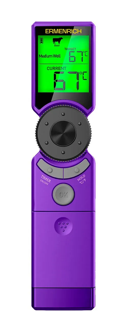 immagine di Termometro per carne Ermenrich BBQ GT10,  1
