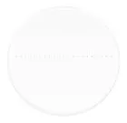 fotografia di Vetrino di calibrazione CSS1 MAGUS per stereomicroscopi (0,1)