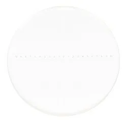 fotografia di Vetrino di calibrazione CSS1 MAGUS per stereomicroscopi (0,1)