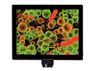 fotografia di Levenhuk MED fotocamera digitale per microscopio da 5M con schermo LCD da 9,4"