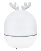 foto di Astroplanetario Levenhuk LabZZ Star Sky P2