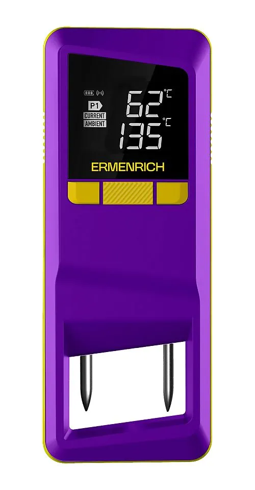 immagine di Termometro per carne Ermenrich BBQ GT40,  1