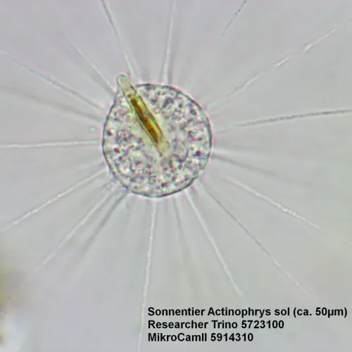 immagine di Microscopio Bresser Researcher Trino 40–1000x,  15