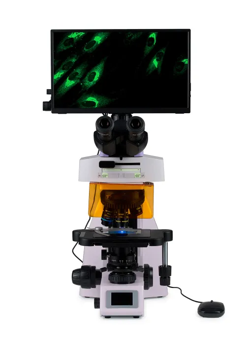 figura di Microscopio digitale a fluorescenza MAGUS Lum D450L LCD,  8