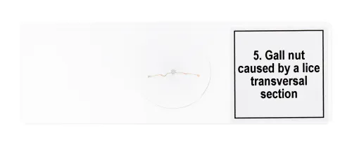 foto di Set di micropreparati Levenhuk Discovery Prof DPS 5. “Mutazioni”,  8