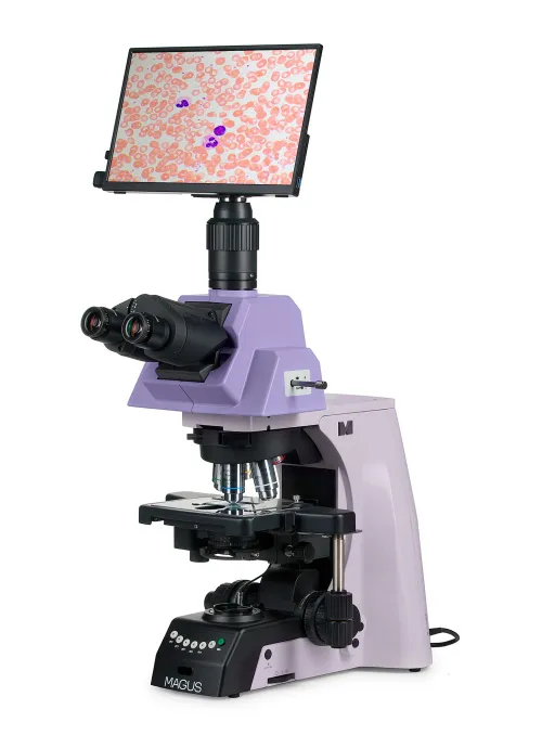 foto di Microscopio biologico digitale MAGUS Bio D290T LCD,  2