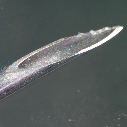 figura di Microscopio stereoscopico MAGUS Stereo 9T,  22