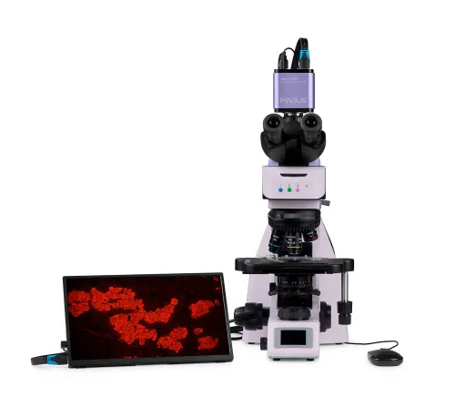 figura di Microscopio digitale a fluorescenza MAGUS Lum D460L LCD,  10