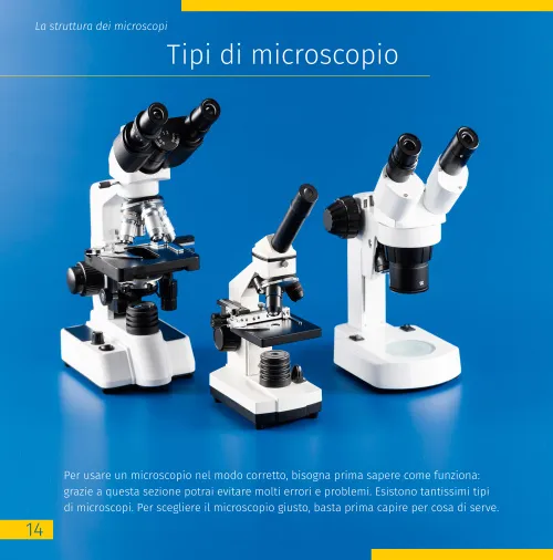 immagine di Mondo invisibile. Libro educativo,  4