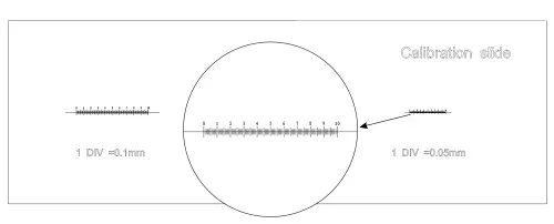 figura di Vetrino di calibrazione CS3 MAGUS (0,01/0,05/0,1),  6