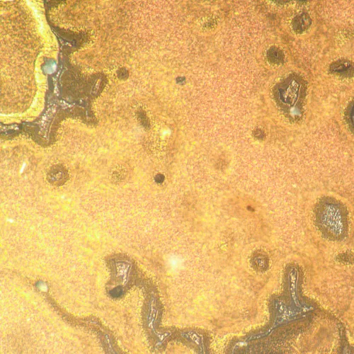 fotografia di Microscopio metallografico invertito MAGUS Metal V790 DIC,  21