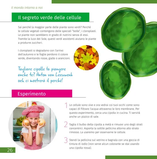 immagine di Microscopio Levenhuk Discovery Micro con libro,  7