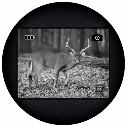 fotografia di Visore notturno monoculare Levenhuk Atom Digital DNM100,  12