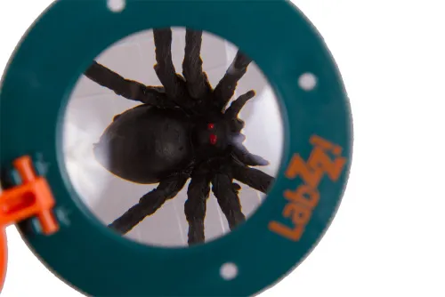 immagine di Raccogli insetti Levenhuk LabZZ C1,  7