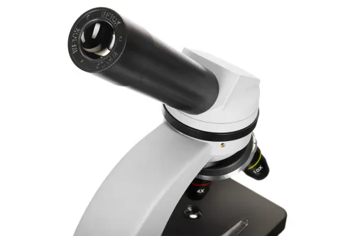 immagine di Microscopi Levenhuk Discovery Nano,  10