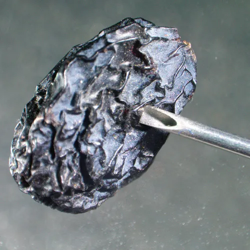 figura di Microscopio stereoscopico MAGUS Stereo A6,  14