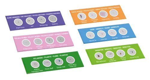 fotografia di Kit per esperimenti Bresser Junior con 24 preparati permanenti microscopio per principianti,  3