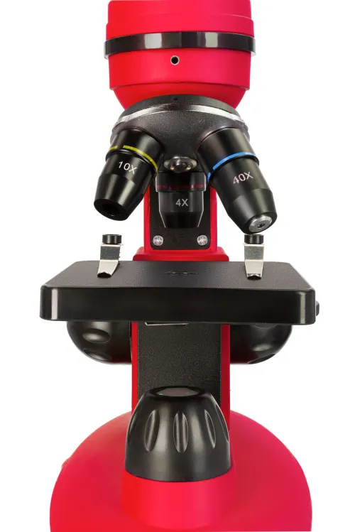 immagine di Microscopi Levenhuk Discovery Nano,  11