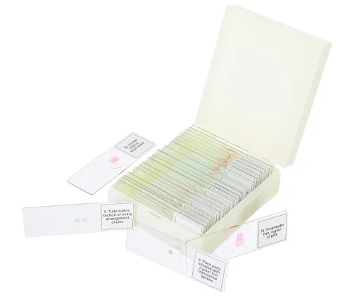 fotografia di Set di micropreparati Levenhuk Discovery Prof DPS 25. “Biologia, uccelli, ecc.”,  5