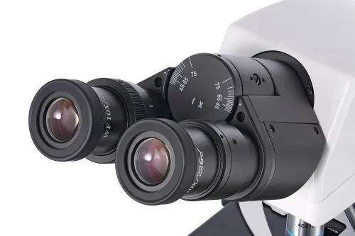 immagine di Microscopio binoculare Levenhuk MED 40B,  7