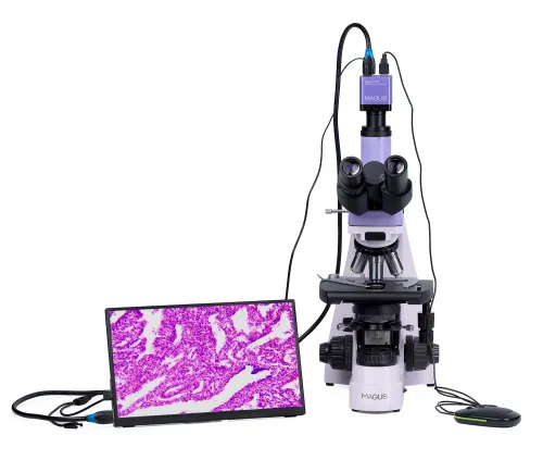 immagine di Microscopio biologico digitale MAGUS Bio D250TL LCD,  7