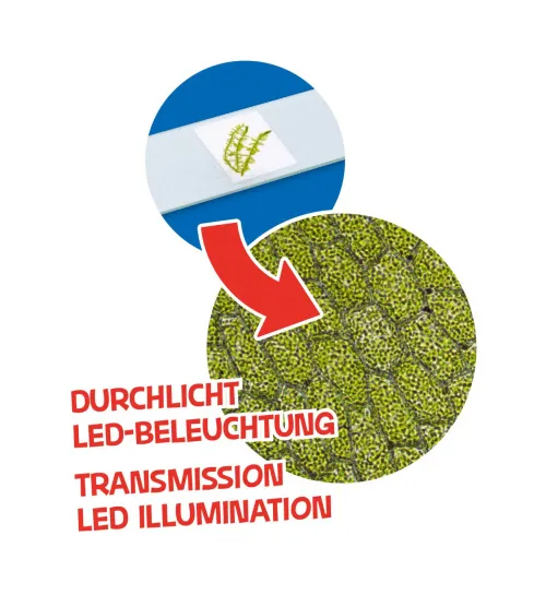 fotografia di Set microscopio e telescopio Bresser Junior,  7