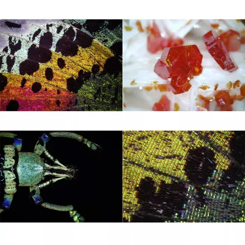 foto di Microscopio digitale USB Bresser DST1028 ,  4