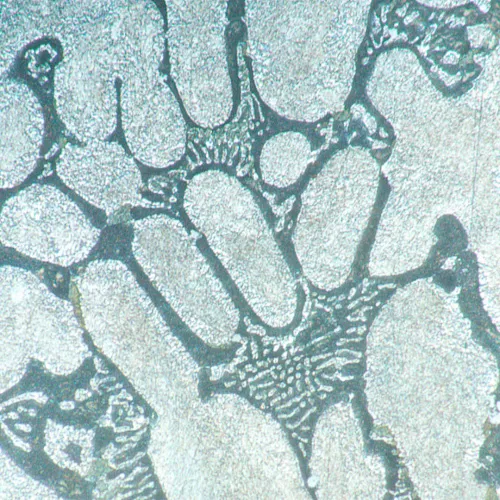 fotografia di Microscopio metallografico invertito MAGUS Metal V700,  16