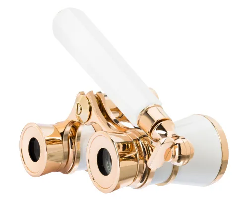 fotografia di Binocoli da teatro Levenhuk Broadway 325E tipo lorgnette,  10