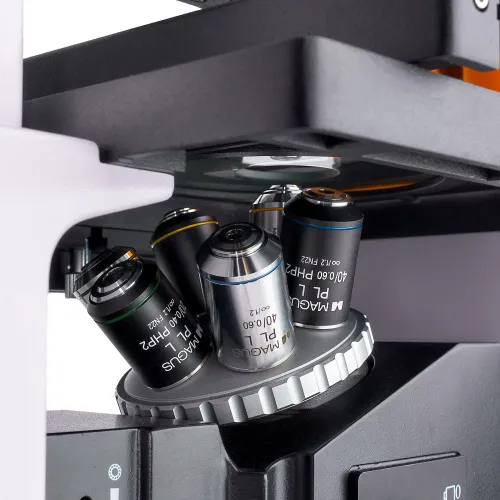 immagine di Microscopio a fluorescenza invertito digitale MAGUS Lum VD500,  11