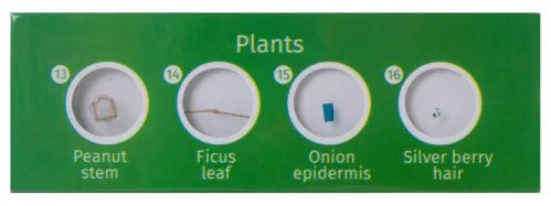 foto di Levenhuk LabZZ CP24 Set di vetrini preparati Piante e Animali,  5