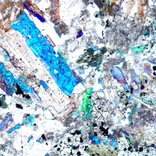 figura di Microscopio polarizzatore MAGUS Pol 850,  19