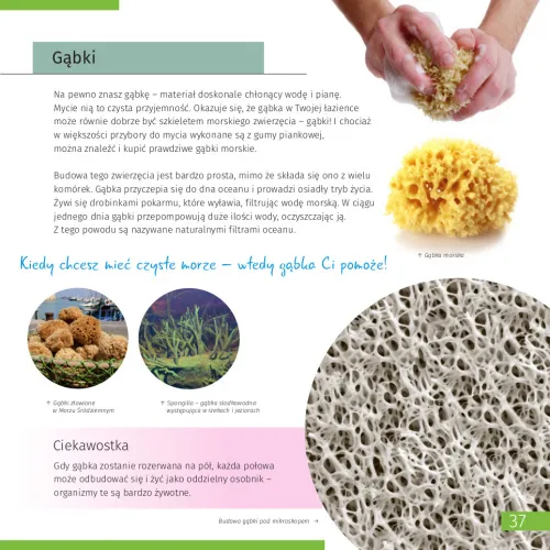 immagine di Mondo invisibile. Libro educativo,  7