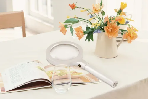 immagine di Lente d’ingrandimento Levenhuk Zeno 600 LED, 2,5/5x, 90/21 mm, metallo,  7