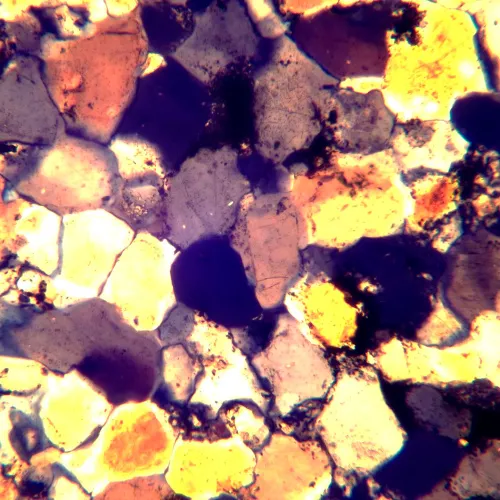fotografia di Microscopio polarizzatore digitale MAGUS Pol D890 MAGUS,  31