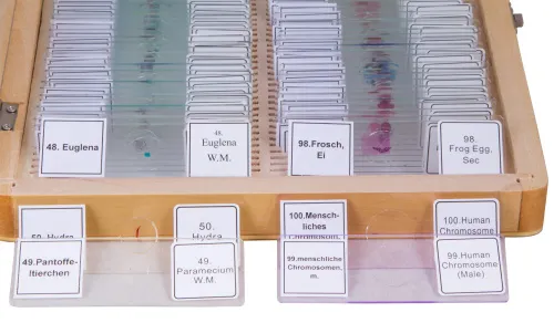 fotografia di Set di Vetrini Preparati Bresser 100 pezzi con Scatola,  4