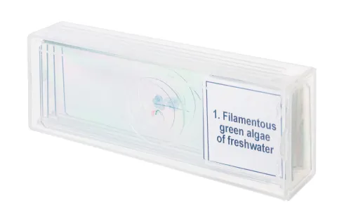 figura di Set di micropreparati Levenhuk Discovery Prof DPS 5. “Biologia”,  4