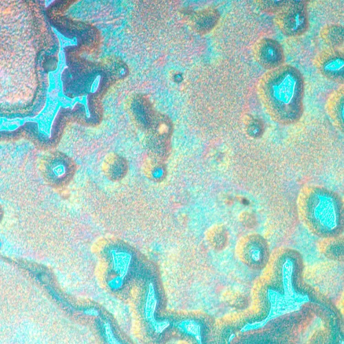 fotografia di Microscopio metallografico invertito MAGUS Metal V790 DIC,  20