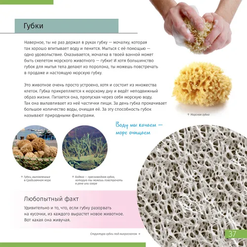 immagine di Mondo invisibile. Libro educativo,  7