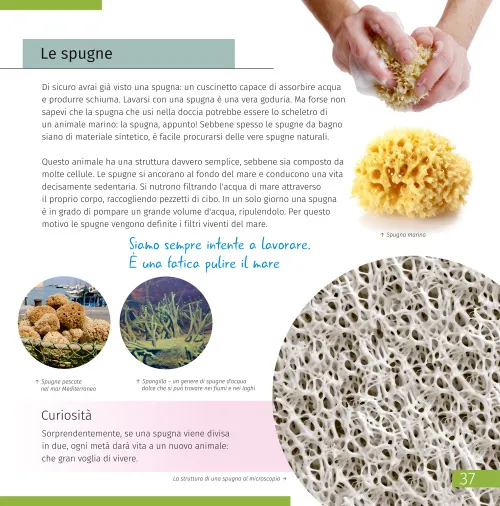 immagine di Mondo invisibile. Libro educativo,  2