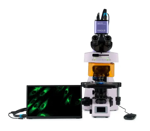 figura di Microscopio digitale a fluorescenza MAGUS Lum D450L LCD,  9